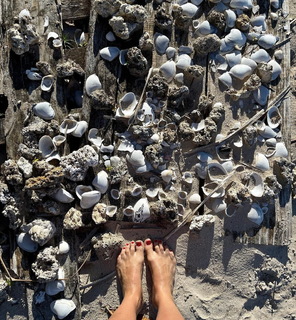 Juliana Didone feet photo thumbnail