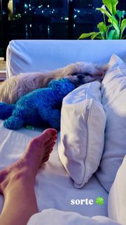 Juliana Silveira feet photo 5