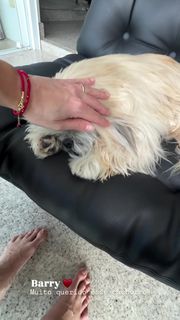 Juliana Silveira feet photo 1