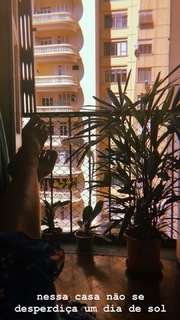 Juliane Araújo feet photo 17
