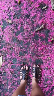 Juliane Araújo feet photo 6
