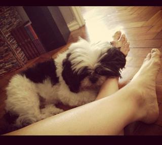 Julianne Trevisol feet photo 17