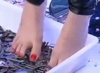 Julianne Trevisol feet photo 8