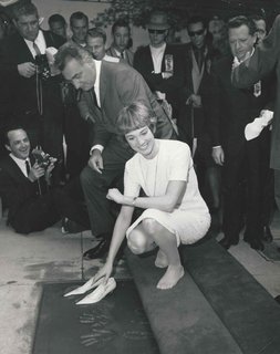 Julie Andrews feet photo thumbnail