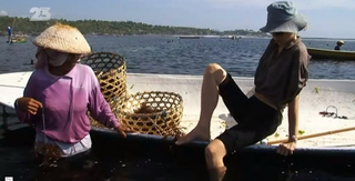 Julie Andrieu feet photo 12