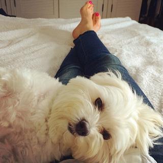 Julie Benz feet photo thumbnail
