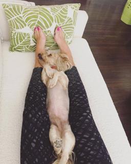 Julie Benz feet photo thumbnail