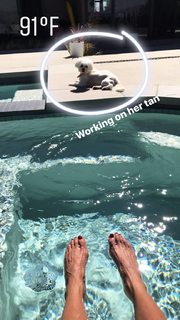 Julie Benz feet photo thumbnail