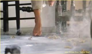 Julie Christie feet photo 18
