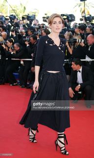 Julie Gayet feet photo 3