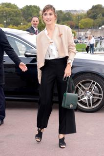 Julie Gayet feet photo 17
