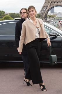 Julie Gayet feet photo 15
