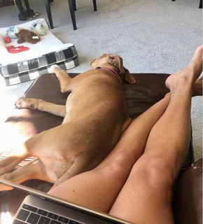 Julie Roberts feet photo 17