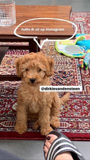 Julie Van den Steen feet photo 9