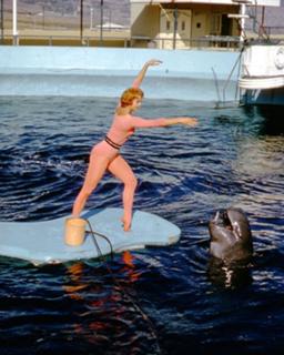 Juliet Prowse feet photo 7