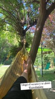 Julieta Díaz feet photo 15