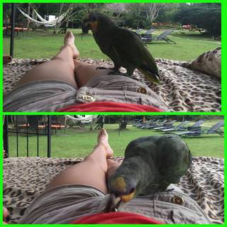 Julieta Lima feet photo 19