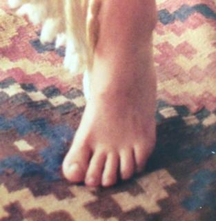 Julieta Venegas feet photo 15