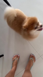 Juliette feet photo thumbnail