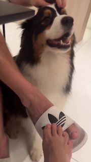 Juliette feet photo thumbnail