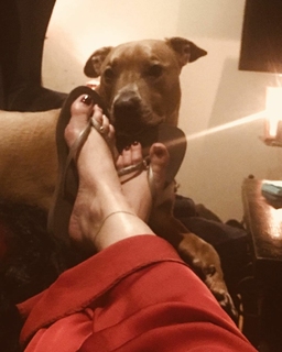 Juliya Chernetsky feet photo 4