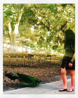 Juliya Chernetsky feet photo 14
