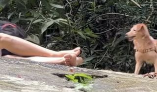 Julya Dalavia feet photo 1