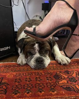 June Diane Raphael feet photo thumbnail