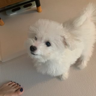Jung Chae-yeon feet photo 18