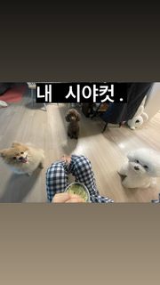 Jung Chae-yeon feet photo 17