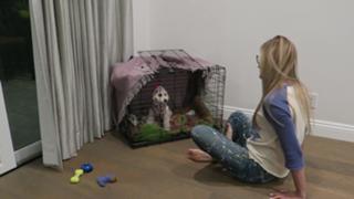 Justine Ezarik feet photo thumbnail