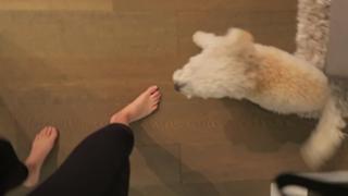 Justine Ezarik feet photo thumbnail