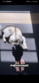 Justine Ezarik feet photo thumbnail