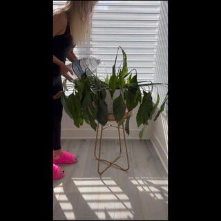 Justine Ezarik feet photo thumbnail