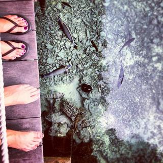 Justine Ezarik feet photo thumbnail