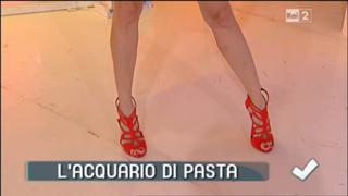 Justine Mattera feet photo thumbnail