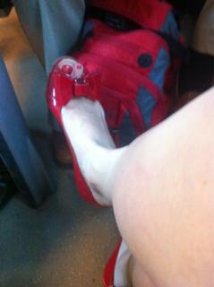 Justine Mattera feet photo thumbnail