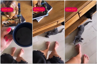 Jéssika Alves feet photo thumbnail