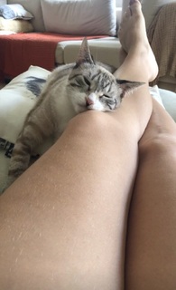 Júlia Rabello feet photo 1