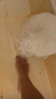 Júlia Rabello feet photo 6
