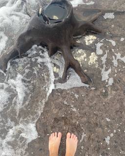 Kabby Borders feet photo 12