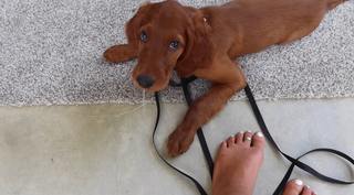 Kacey Dirksen feet photo 15