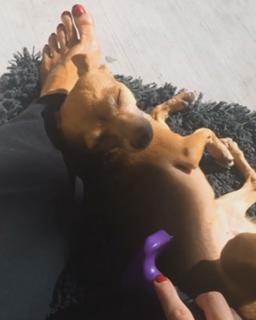 Kacey Montoya feet photo 8