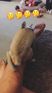 Kacey Montoya feet photo 7