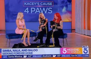 Kacey Montoya feet photo 16