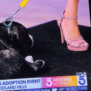 Kacey Montoya feet photo 11