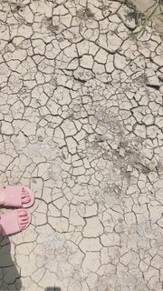 Kacey Musgraves feet photo thumbnail