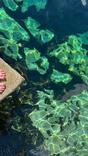 Kacey Musgraves feet photo thumbnail