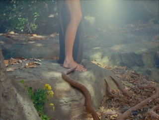 Kacey Musgraves feet photo thumbnail