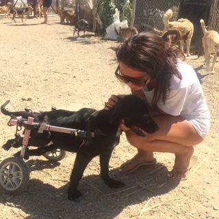 Kady McDermott feet photo thumbnail